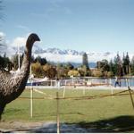 queenstown2.jpg