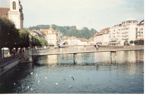 18_luzerne.jpg