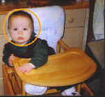 william.jpg (18237 bytes)