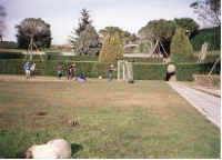 univ_footy.jpg (76575 bytes)