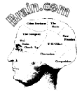 brain.gif (3079 bytes)