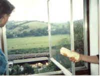 room.jpg (45971 bytes)