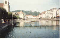luzerne.jpg (55331 bytes)
