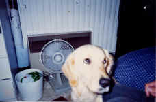 ben.jpg (83983 bytes)