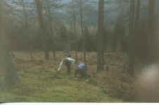 clambering_up.jpg (83167 bytes)