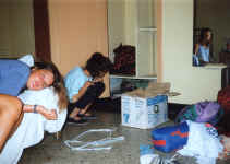 kittens_born.jpg (147885 bytes)