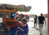 oranges.jpg (129339 bytes)