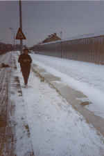 dead_heron.jpg (94197 bytes)