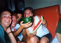 train_melon.jpg (125135 bytes)