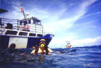 MeInWater.jpg (103193 bytes)