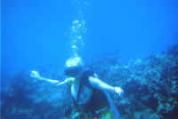 MeUnderwater.jpg (75987 bytes)