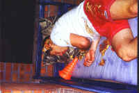 ShaggySick.jpg (122583 bytes)