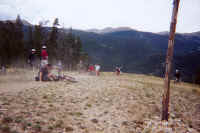 carnage.jpg (96527 bytes)