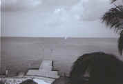 cozumel_view.jpg (49016 bytes)