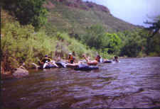 group2.jpg (107019 bytes)