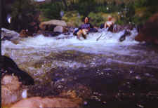 water_flesh.jpg (90885 bytes)