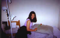 tulips.jpg (60097 bytes)