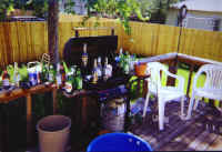 back_garden.jpg (112999 bytes)