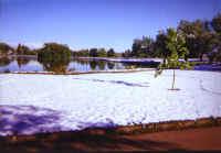 wp_snow.jpg (90891 bytes)