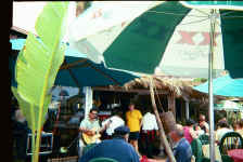 guitarist.jpg (159554 bytes)