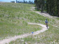 kt.jpg (60998 bytes)