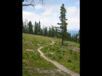 trail.jpg (33011 bytes)