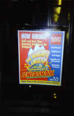 sniagrab.jpg (137756 bytes)