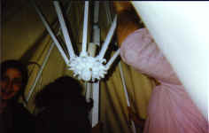 libbs_ron.jpg (133060 bytes)