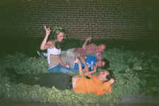 group_flowerbed.jpg (226103 bytes)