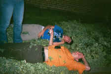 me_shiv_flowerbed.jpg (200843 bytes)