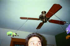 me_eyes.jpg (164165 bytes)