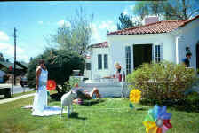 dog_day.jpg (233106 bytes)