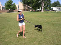 kelly_dog.jpg (75743 bytes)