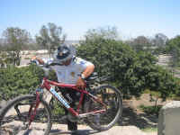 hauling_bike.jpg (205925 bytes)