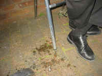 strawpedo3.jpg (190304 bytes)