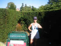 kt_maze.jpg (225987 bytes)