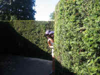 me_kt_maze.jpg (303713 bytes)
