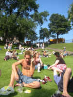 dc_grass.jpg (431185 bytes)