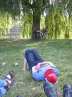 shiv_bikes.jpg (307327 bytes)