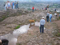 shiv_dawg.jpg (250522 bytes)