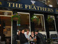 feathers.jpg (162121 bytes)