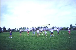 volleyball.jpg (12351 bytes)