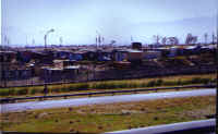 Cape_Flats.jpg (71118 bytes)