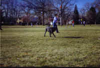 Lacrosse.jpg (100991 bytes)