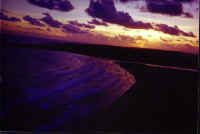 Micro_Stillbai.jpg (47382 bytes)