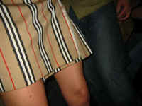 skirt.jpg (55001 bytes)