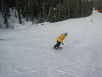 kelly_boards.jpg (99853 bytes)