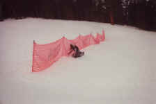 lindsay_bites_it.jpg (197189 bytes)