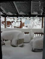 back_porch.jpg (123672 bytes)