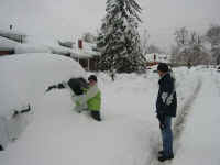 bitsy_mark.jpg (113680 bytes)